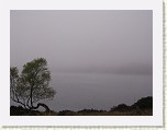 DSCN1972 * 2048 x 1536 * (640KB)