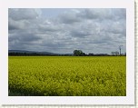 DSCN2039 * 2048 x 1536 * (632KB)