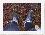 TGOC2009_Plockton_BlackDogRock * (142 Slides)