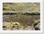 DSCN2230 * It was quite a wide ford but, again, not too deep and almost still. * 2048 x 1536 * (749KB)