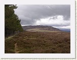 DSCN2278 * Saturday.  Shortly after leaving Newtonmore, walking along the south edge of the woods to the West of Loch Gynack. * 2048 x 1536 * (623KB)