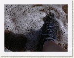DSCN2326 * Who cares if my socks get wet now? * 2048 x 1536 * (687KB)