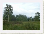 P1000951 * 2560 x 1920 * (2.91MB)