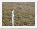 P1000952 * Being right next to this footpath sign didn't really help at all, as there was no path. * 2560 x 1920 * (2.91MB)
