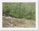 P1030354 * ....whereas I just scrambled down the steepest section of the gulley and waded the torrent. * 2560 x 1920 * (3.02MB)