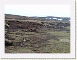 P1030388 * Lovely haggy peat * 2560 x 1920 * (3.25MB)