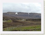 P1030932 * Glen Doe * 2560 x 1920 * (2.97MB)
