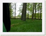 P1040063 * A stealthy camp at NO793811 on Wednesday night. * 2560 x 1920 * (3.11MB)