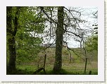 P1040066 * 2560 x 1920 * (3.18MB)