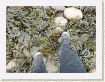 P1040083 * East Coast Paddle. * 2560 x 1920 * (2.94MB)