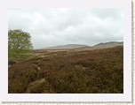 P1040620 * Time to bash out the heather again. * 1920 x 1440 * (987KB)