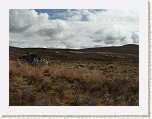 P1040651 * Sunday 22nd May 2016. * 3000 x 2250 * (2.17MB)